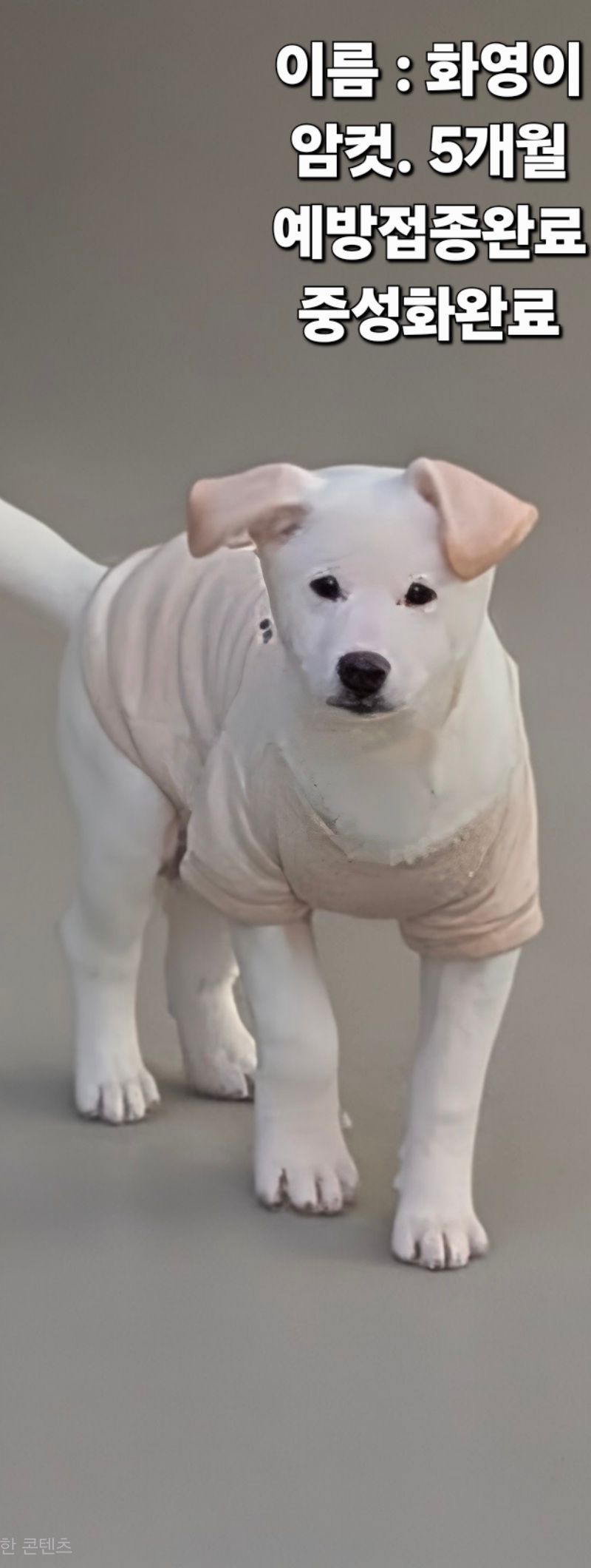 긴박했던 3월 23일, 경상북도 성주군 수륜면 신파3길5에서 포착된 작은 희망 2 447521202600115 1